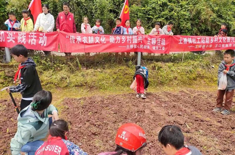 土桥：指导学生学农耕 培养学生爱劳功