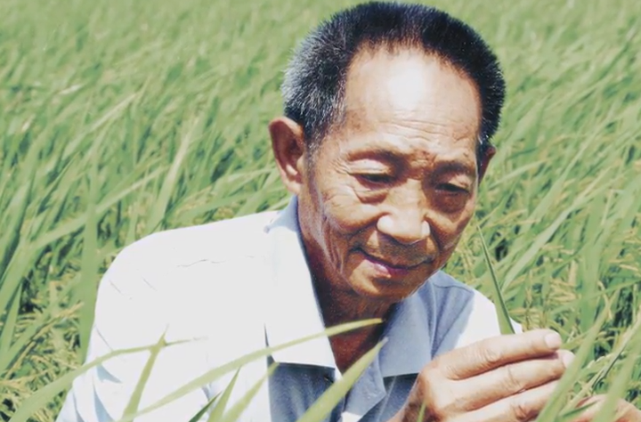 又是一年……您长眠，我常念！