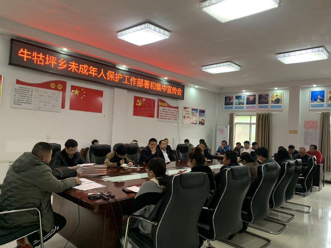 关爱保护未成年人丨牛牯坪乡：利剑护蕾 开展未成年人保护专项行动