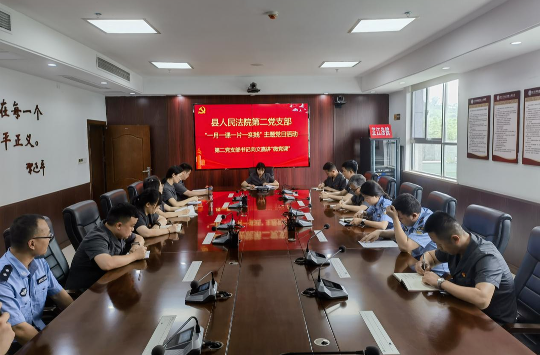 芷江法院推进“一月一课一片一实践”主题党日活动走深走实见效