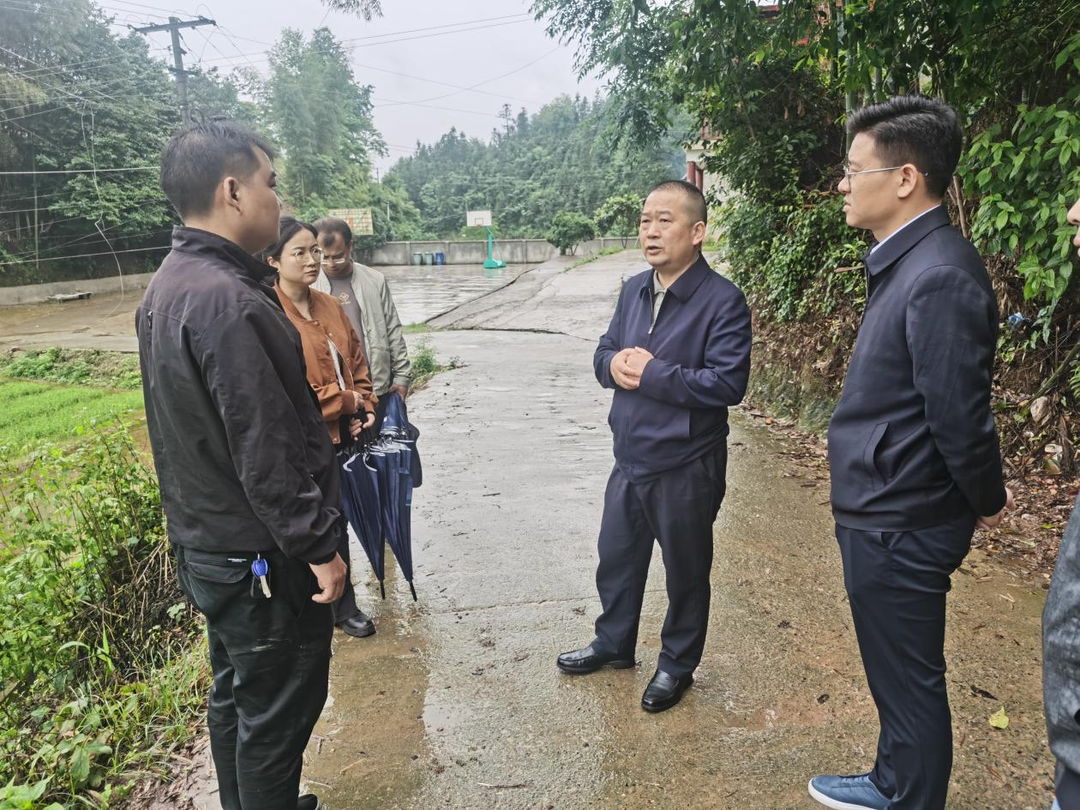 谭茂河赴洞下场乡调研检查工作
