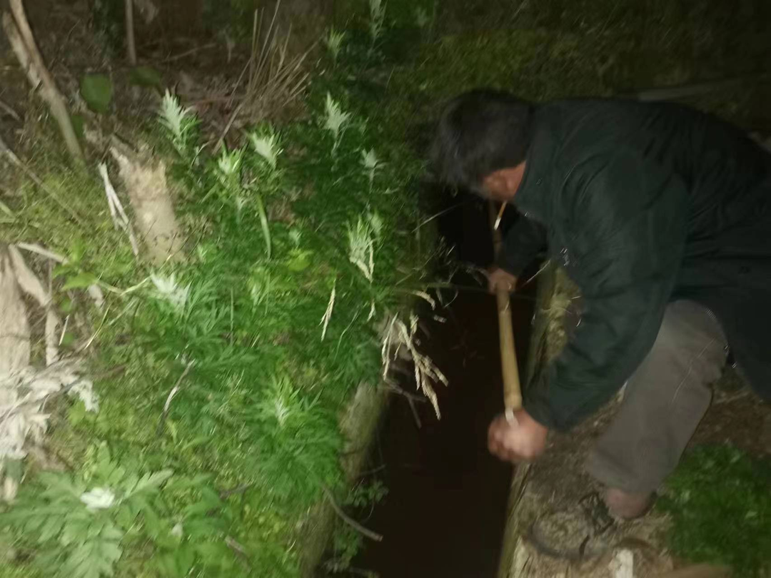 打好安全生产翻身仗丨大树坳乡：清理排水沟渠，加强防汛保障