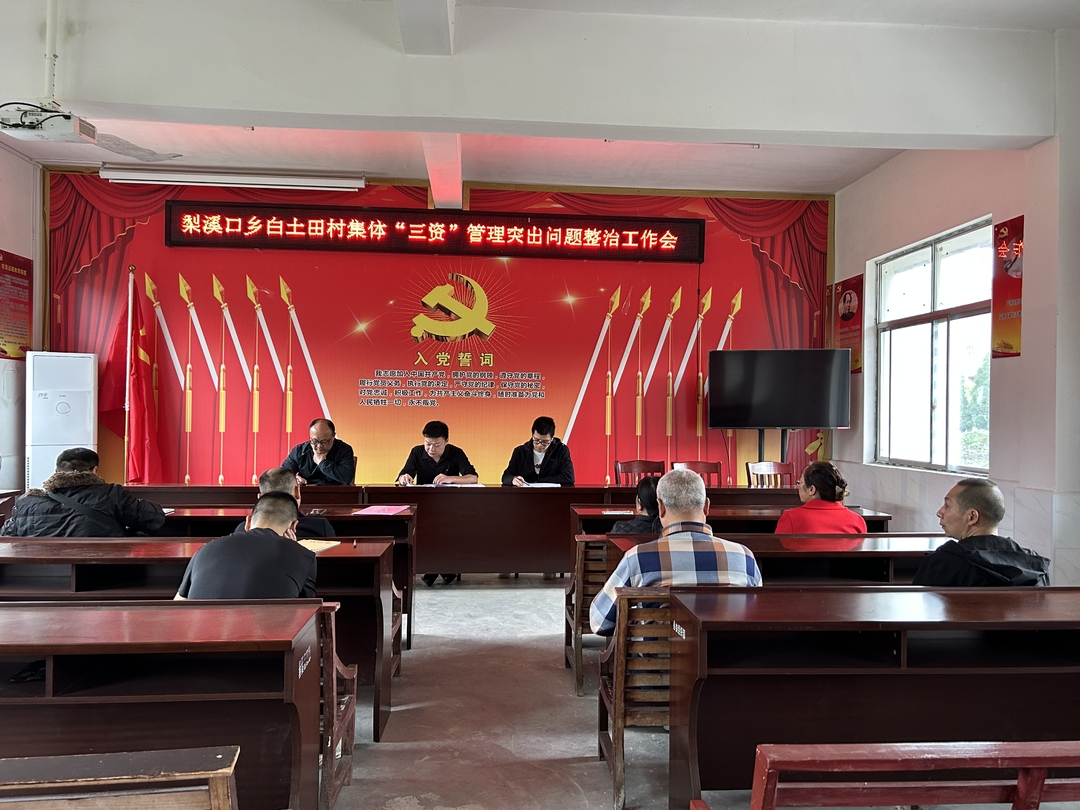 梨溪口乡：规范农村“三资”管理再发力
