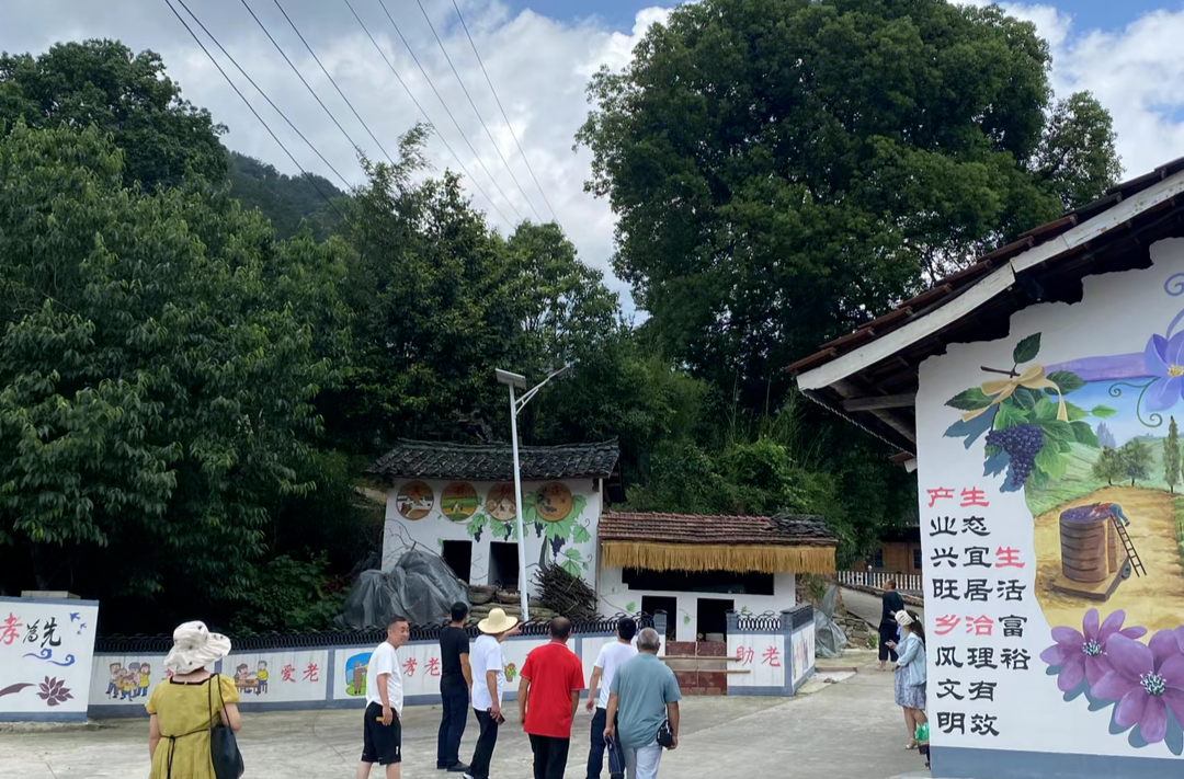 大树坳乡组织开展农村人居环境整治参观学习交流活动