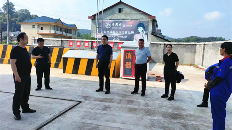 陈红利检查指导土桥镇安全生产工作