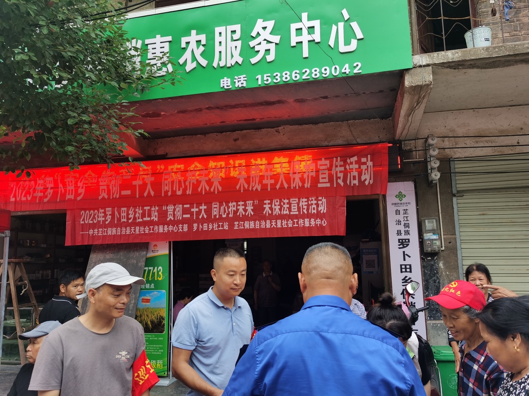罗卜田乡开展“贯彻二十大 同行护未来”未成年人保护宣传活动