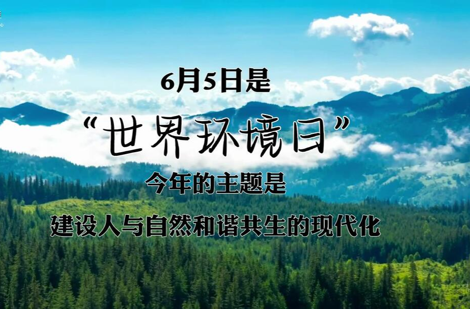 芷江生态环境分局开展“六•五”世界环境日主题宣传