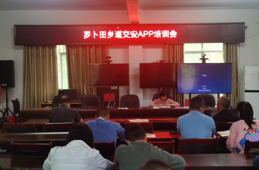 打好安全生产翻身仗丨罗卜田乡常态化开展道路交通安全整治