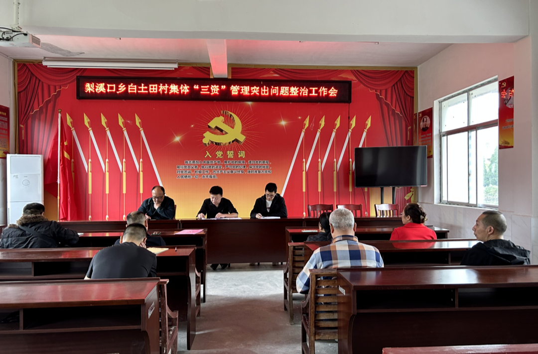 梨溪口乡：规范农村“三资”管理再发力