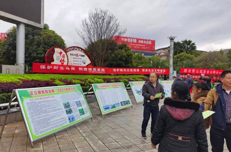 芷江开展打击非法野生动植物贸易“清风行动”