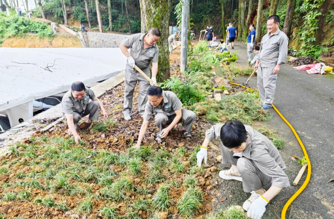 湖南芷江春阳滩水电有限公司  开展“种廉草、倡廉风”主题党日活动