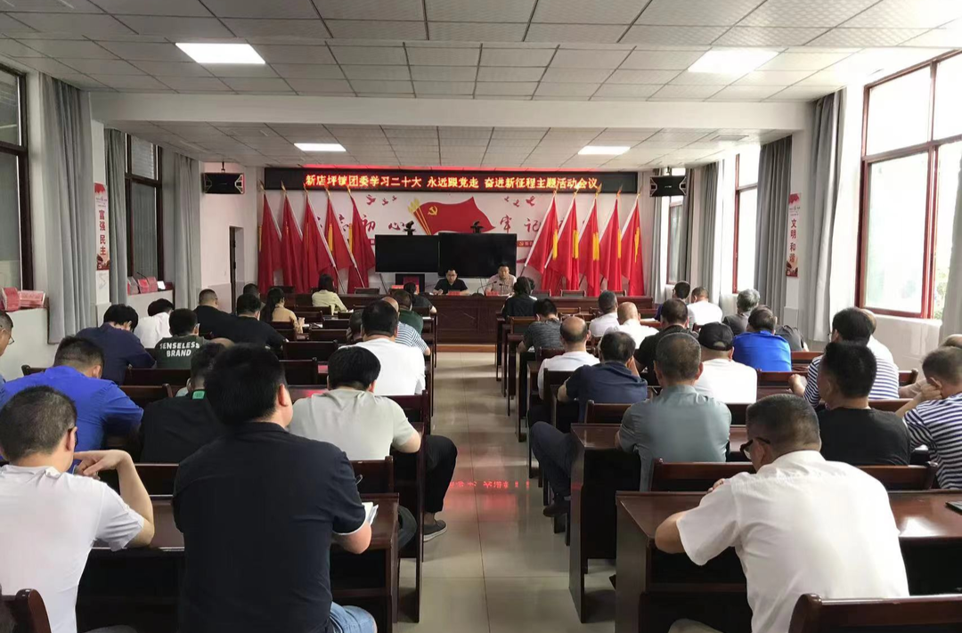 二十大精神进基层丨新店坪镇团委：学习二十大精神 坚定信念跟党走
