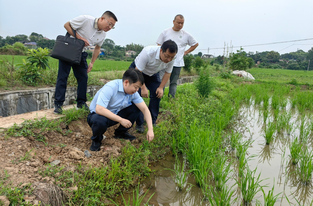 梁志平在芷江镇调研时强调：守好粮食安全和安全生产底线 因地制宜发展集体经济助力乡村振兴