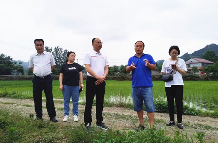 芷江政协聚焦“地更净” 守护“舌尖上的安全”