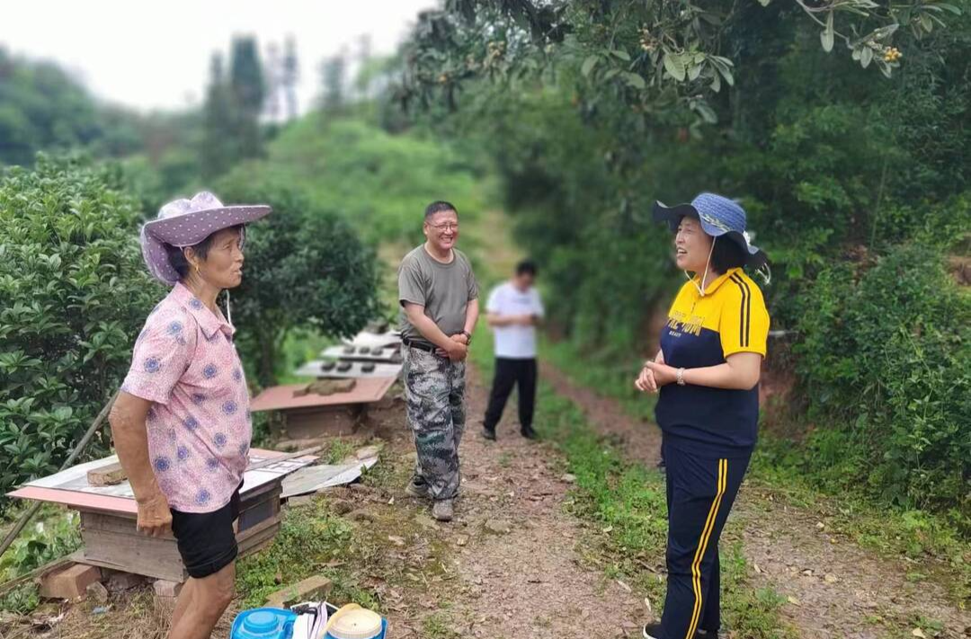 杨桂花督导楠木坪镇安全生产工作