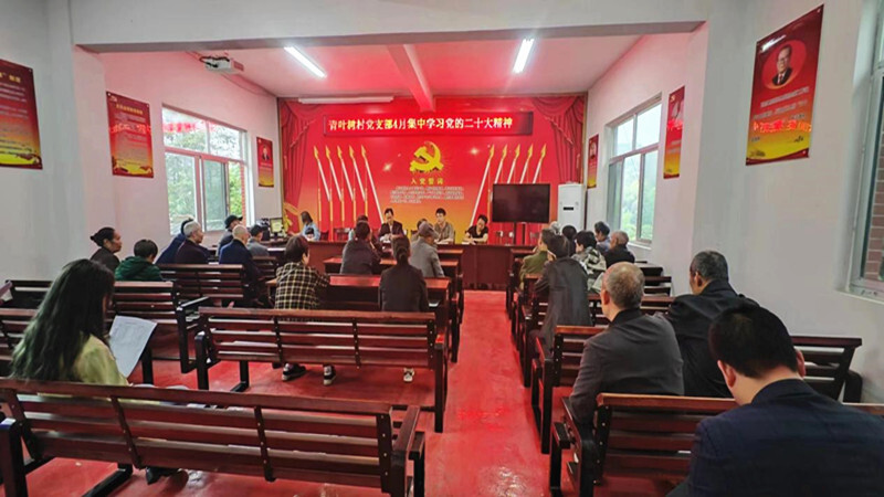 牛牯坪乡：扎实开展“一月一课一片一实践”，让活动入脑入心更促行
