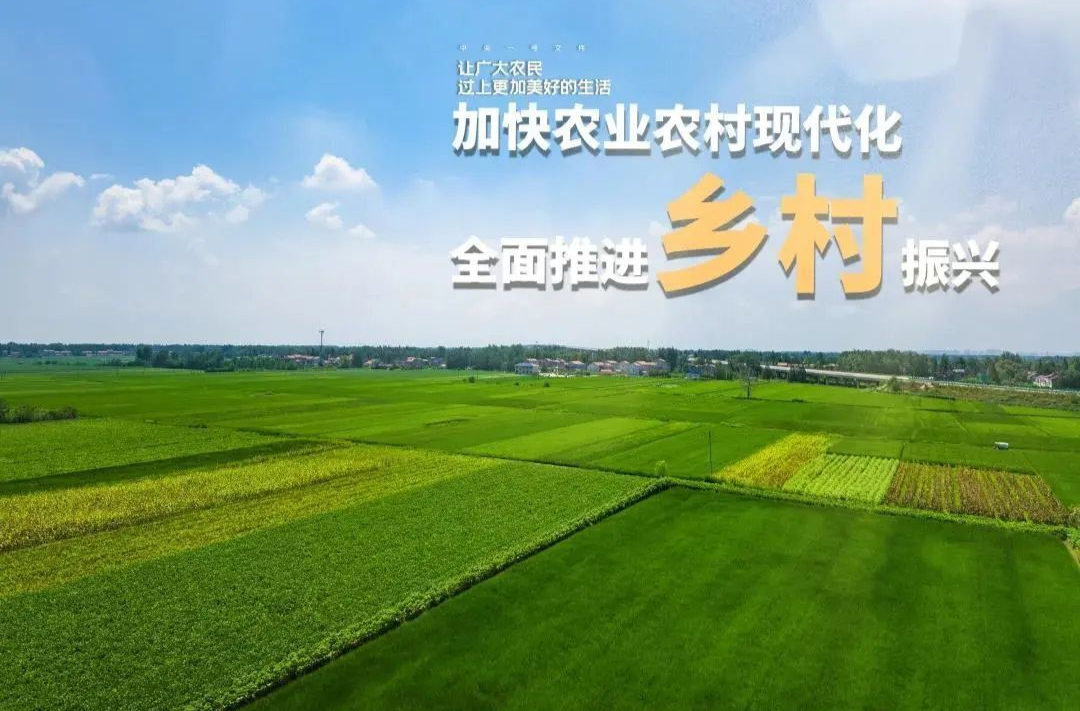 【新思想引领新征程】特色产业激发乡村振兴新活力