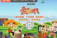 槐花园村爱心助农直播