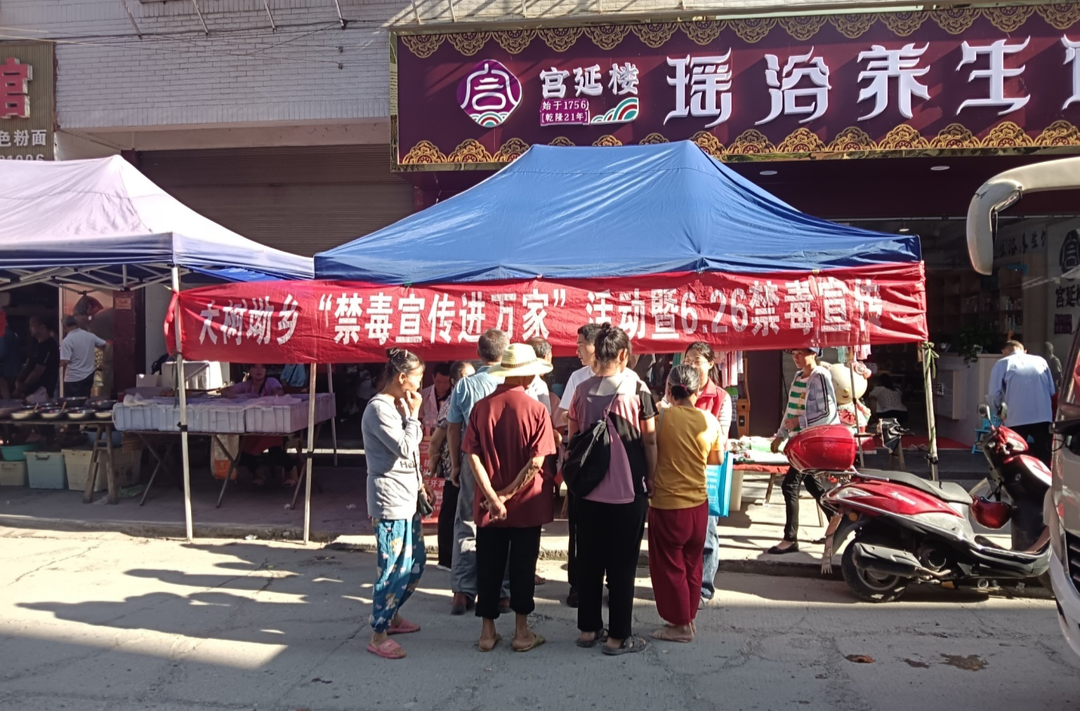 大树坳乡开展禁毒宣传进万家活动