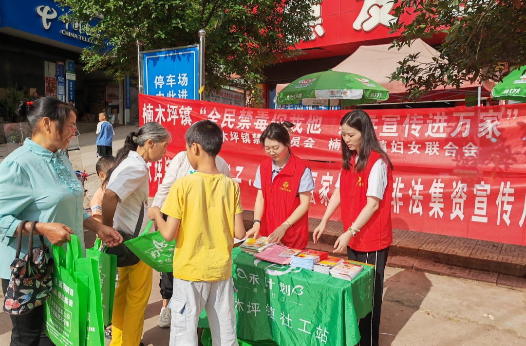 楠木坪镇：多面宣传，护民护家
