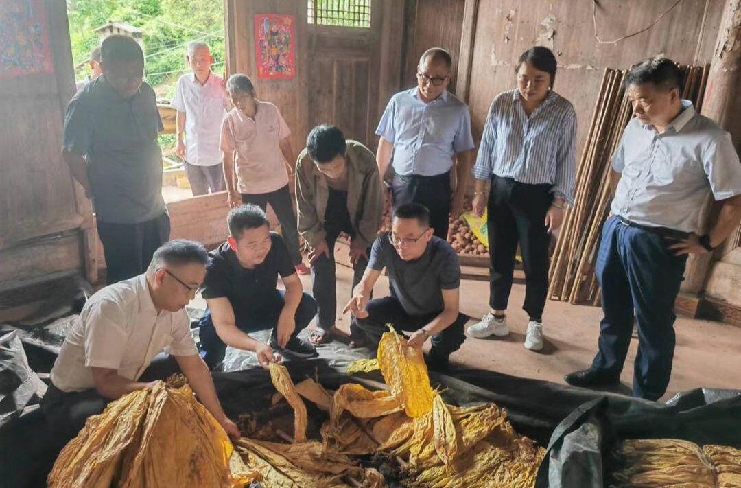 怀化市烟草专卖局（公司）赴岩山背村调研指导乡村振兴工作