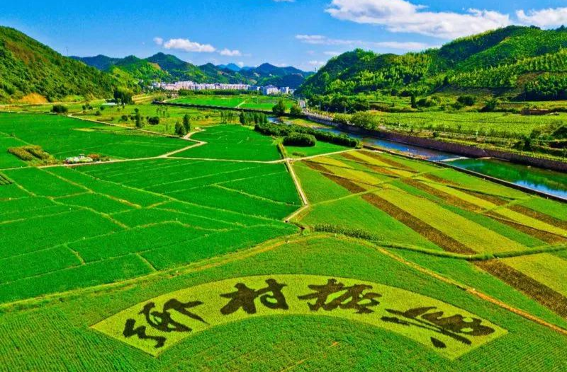 “三下乡”助推芷江乡村全面振兴