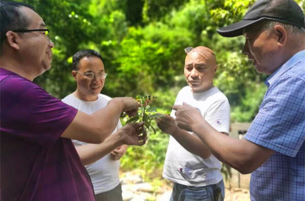 芷江：发挥财政保障服务效能 全力支持生物多样性资源调查项目