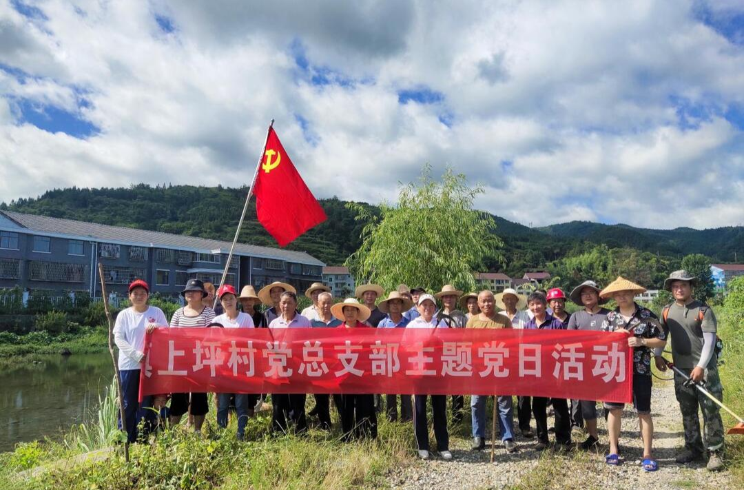 上坪村党总支部开展庆“七一” 系列活动