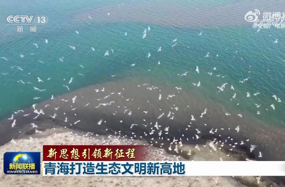 【新思想引领新征程】青海打造生态文明新高地