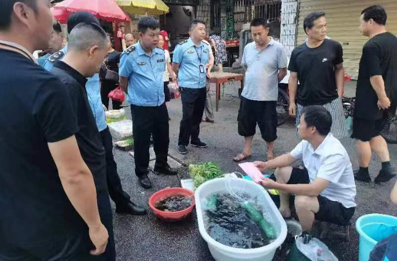 芷江开展市场禁售野生鱼集中宣传周活动