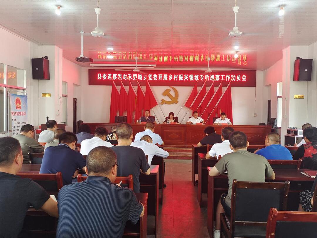 县委第二巡察组对禾梨坳乡党委开展乡村振兴领域专项巡察工作动员会召开