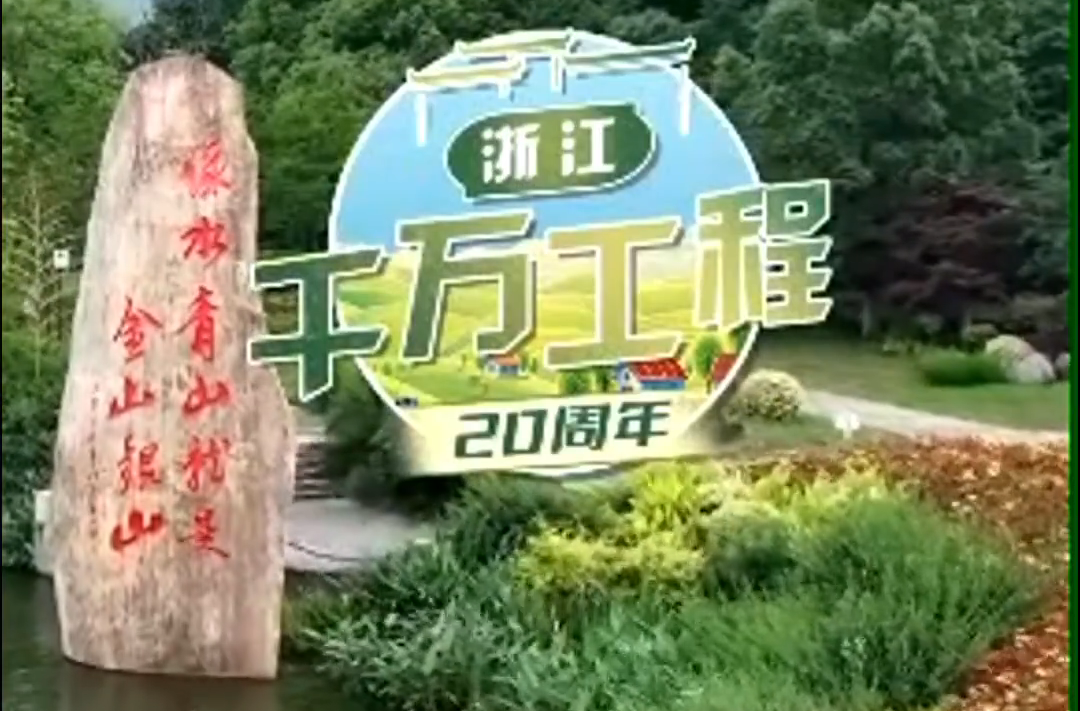 “千万工程”20年 | 浙江：美丽乡村的“只此青绿”