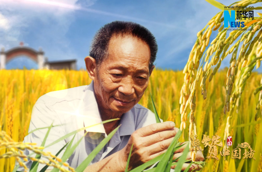点赞中国城——一粒种子·改变世界 怀化邀您点赞