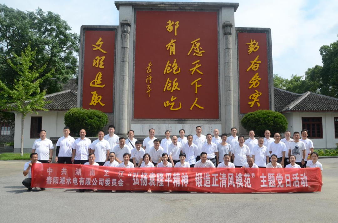 芷江春阳滩水电有限公司开展“弘扬袁隆平精神、锻造正清风模范”主题党日活动