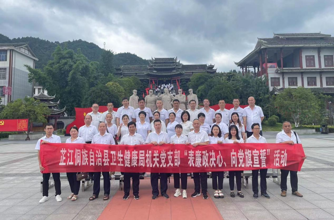 芷江卫生健康局开展“表廉政决心、向党旗宣誓”主题党日暨干部队伍教育整顿活动