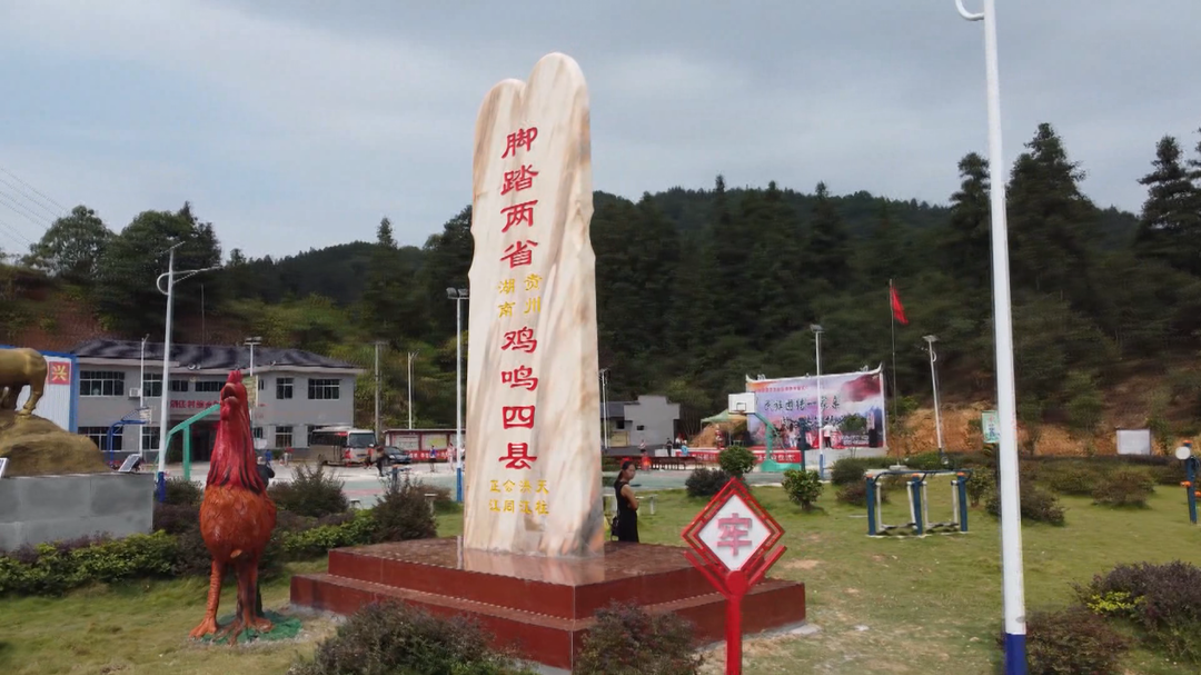 清江村：水上乐园里捉鱼戏水 做嗨夏日乡村旅游