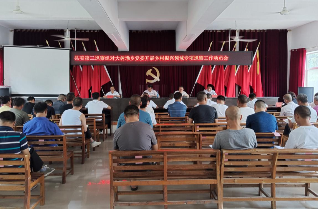 县委第三巡察组对大树坳乡党委开展乡村振兴  专项巡察工作动员会召开