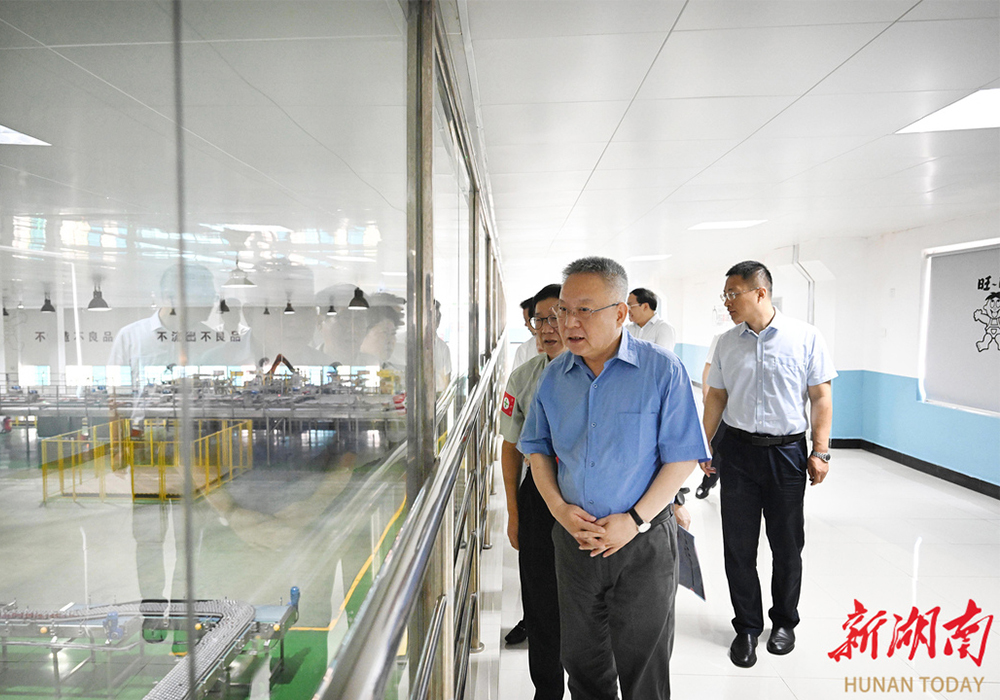 沈晓明：加快湖南先进制造业高质量发展