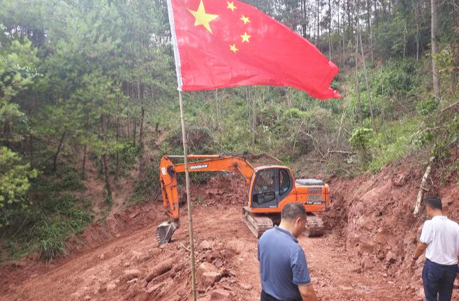 芷江：积极推进油茶基地建设