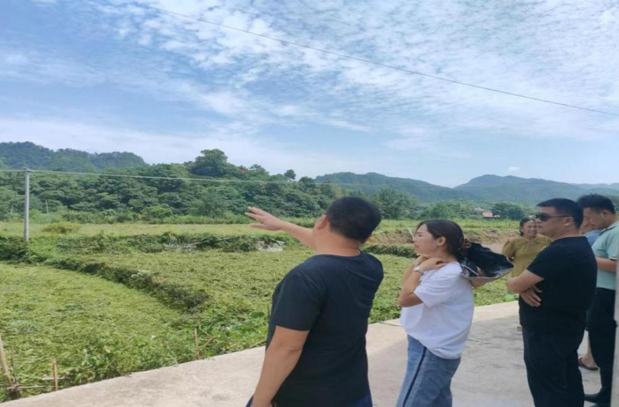 加强党建引领 罗旧镇青鹤溪村多措并举推进耕地抛荒整治