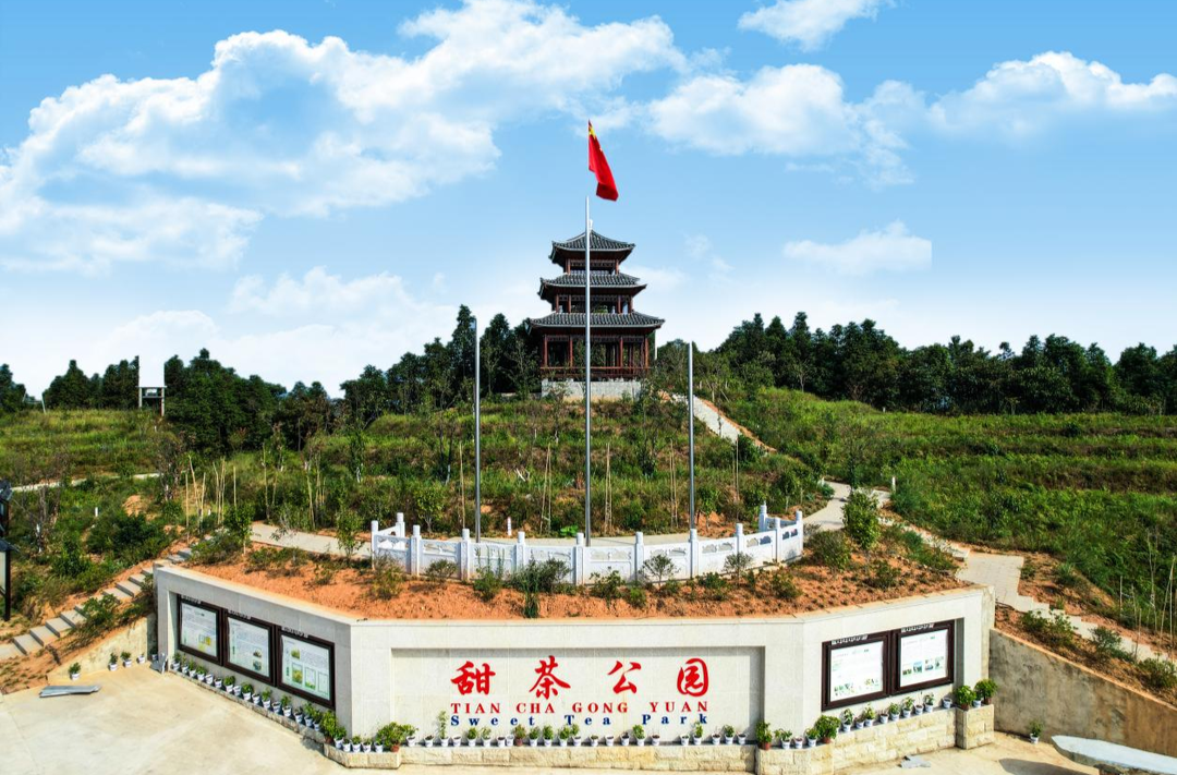 缅怀蒋华良院士：种下“振兴树” 发展正当时