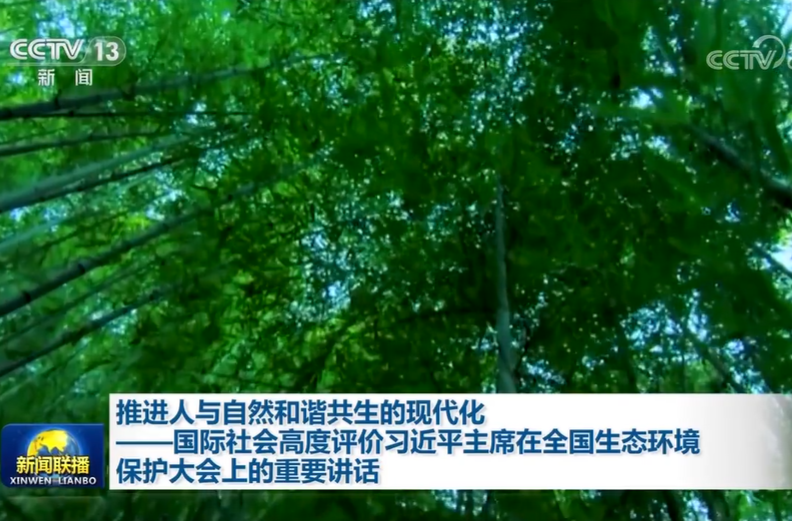 推进人与自然和谐共生的现代化——国际社会高度评价习近平主席在全国生态环境保护大会上的重要讲话