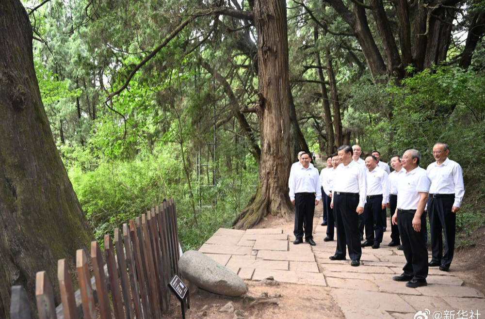 习近平在四川考察调研