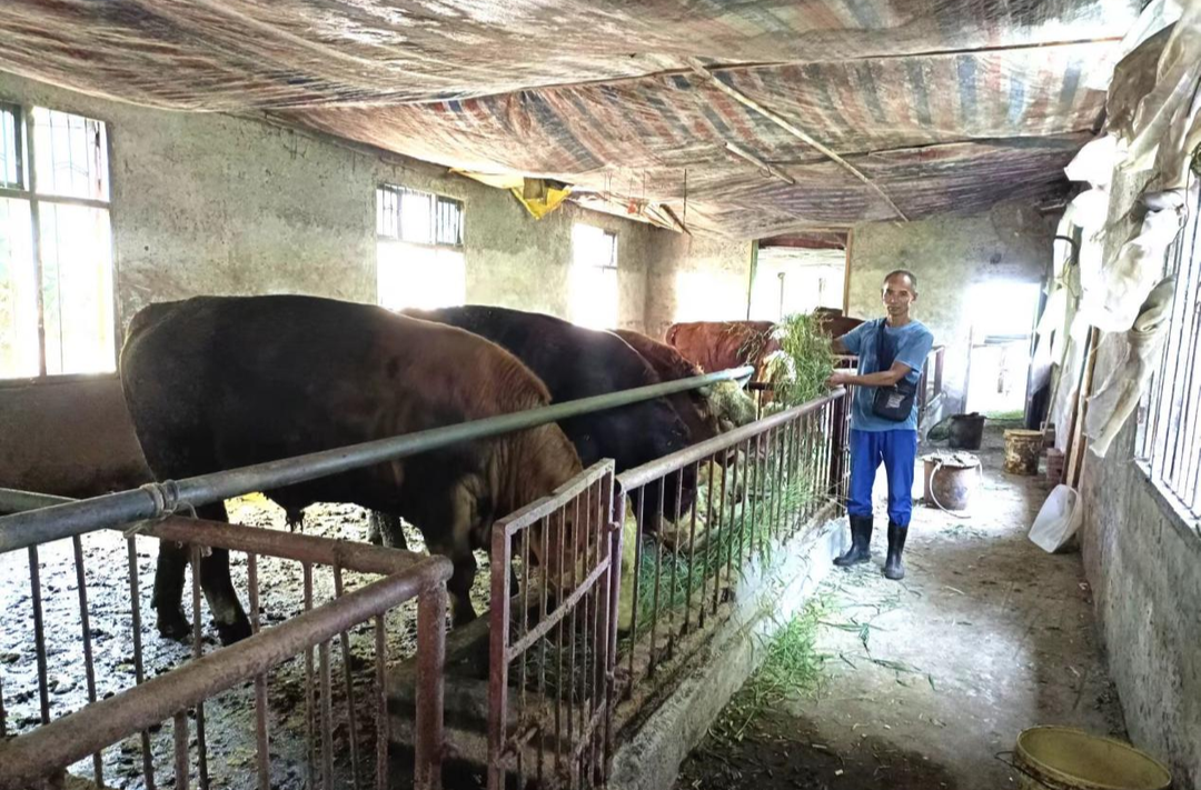 芷江：“暖心行动”关爱退捕渔民