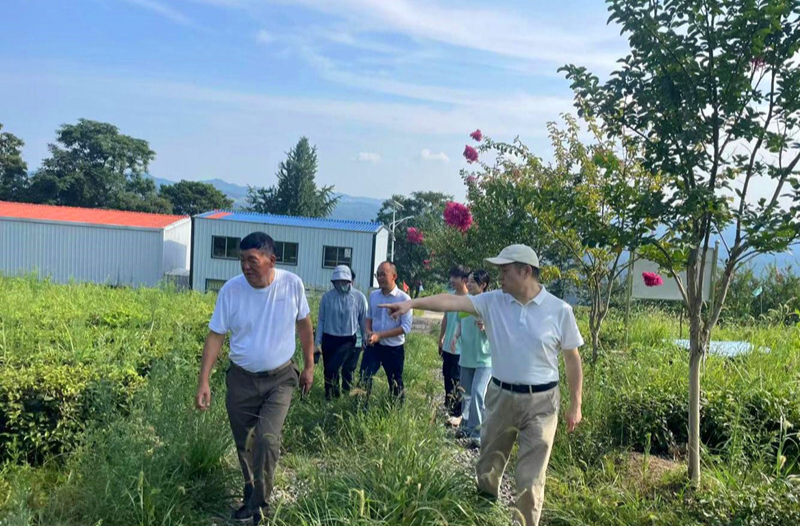 助力乡村振兴 湖南财政经济学院组织调研团队走进芷江土桥镇