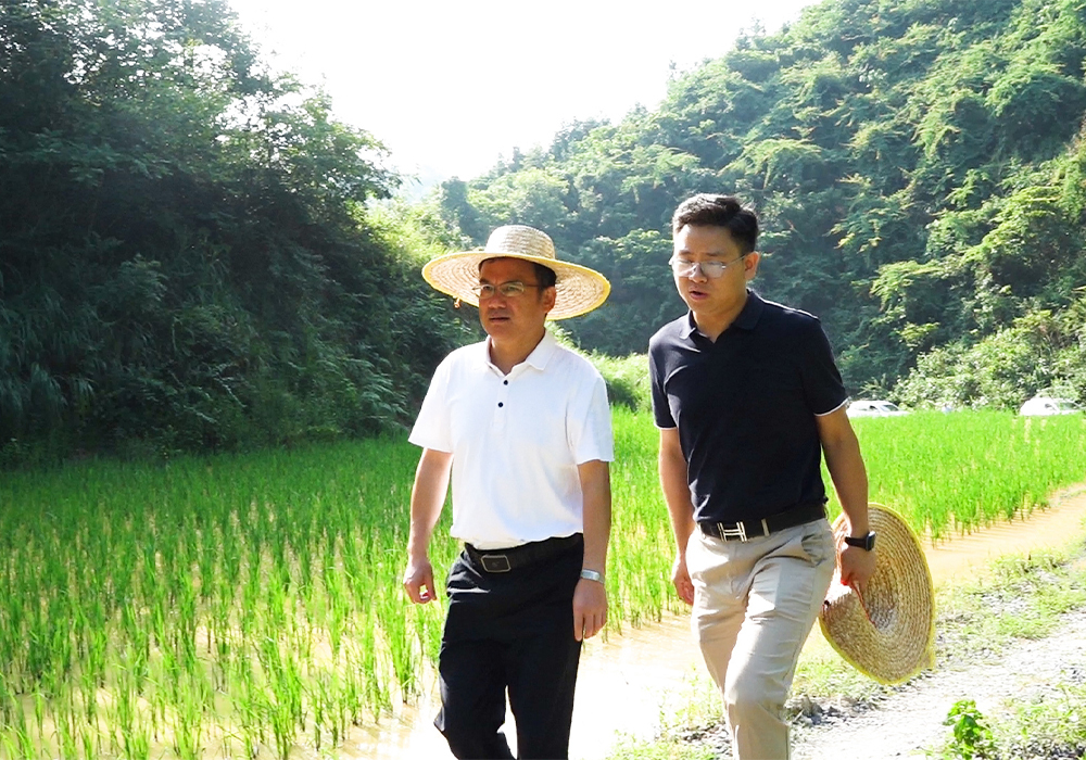 梁元和赴洞下场乡调研