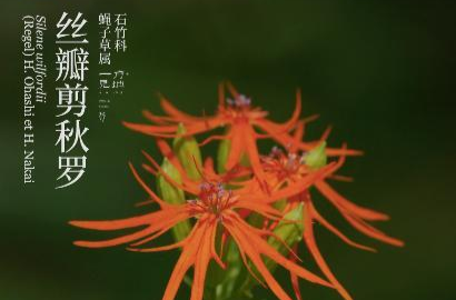 这么快，立秋了！