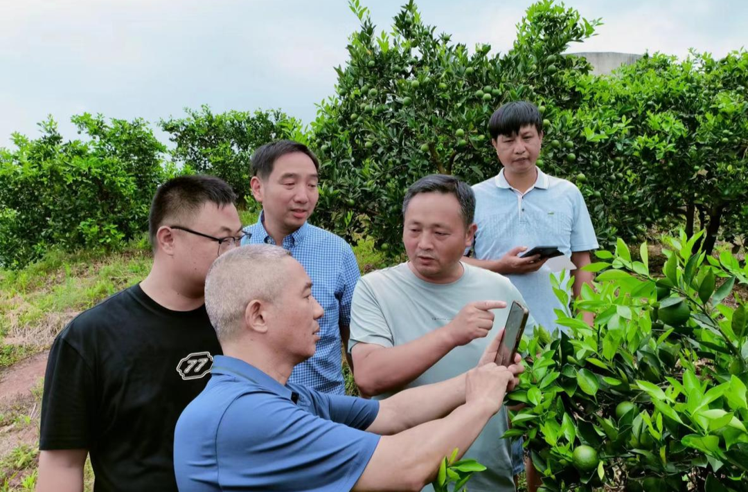 芷江：科技特派员携手农技专家送技下乡抗旱保收