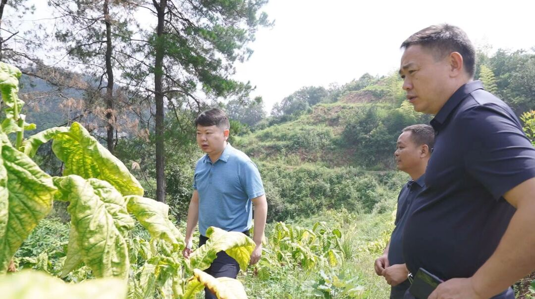 梁志平在晓坪乡、罗卜田乡调研时强调： 深入开展“走找想促”活动 着力解决群众“急难愁盼”问题 奋力开创乡村振兴新局面