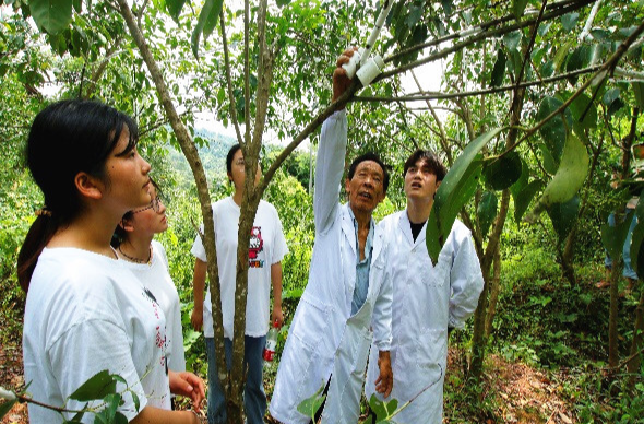 芷江：人才新政引才见成效  助推县域经济高质量发展